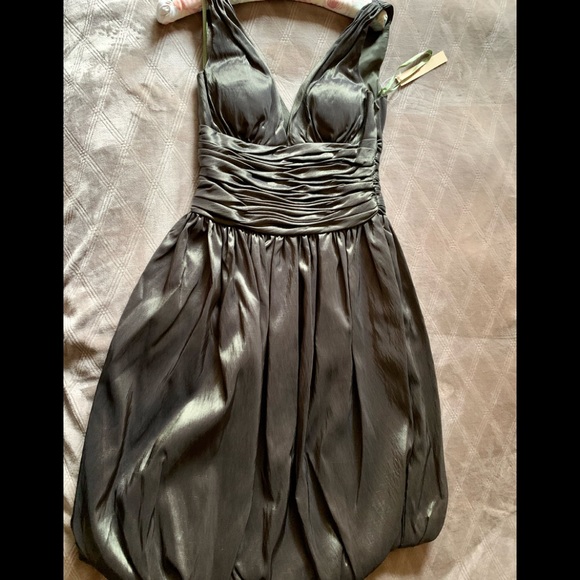 NWT DRESS SIZE 2 - Picture 2 of 8